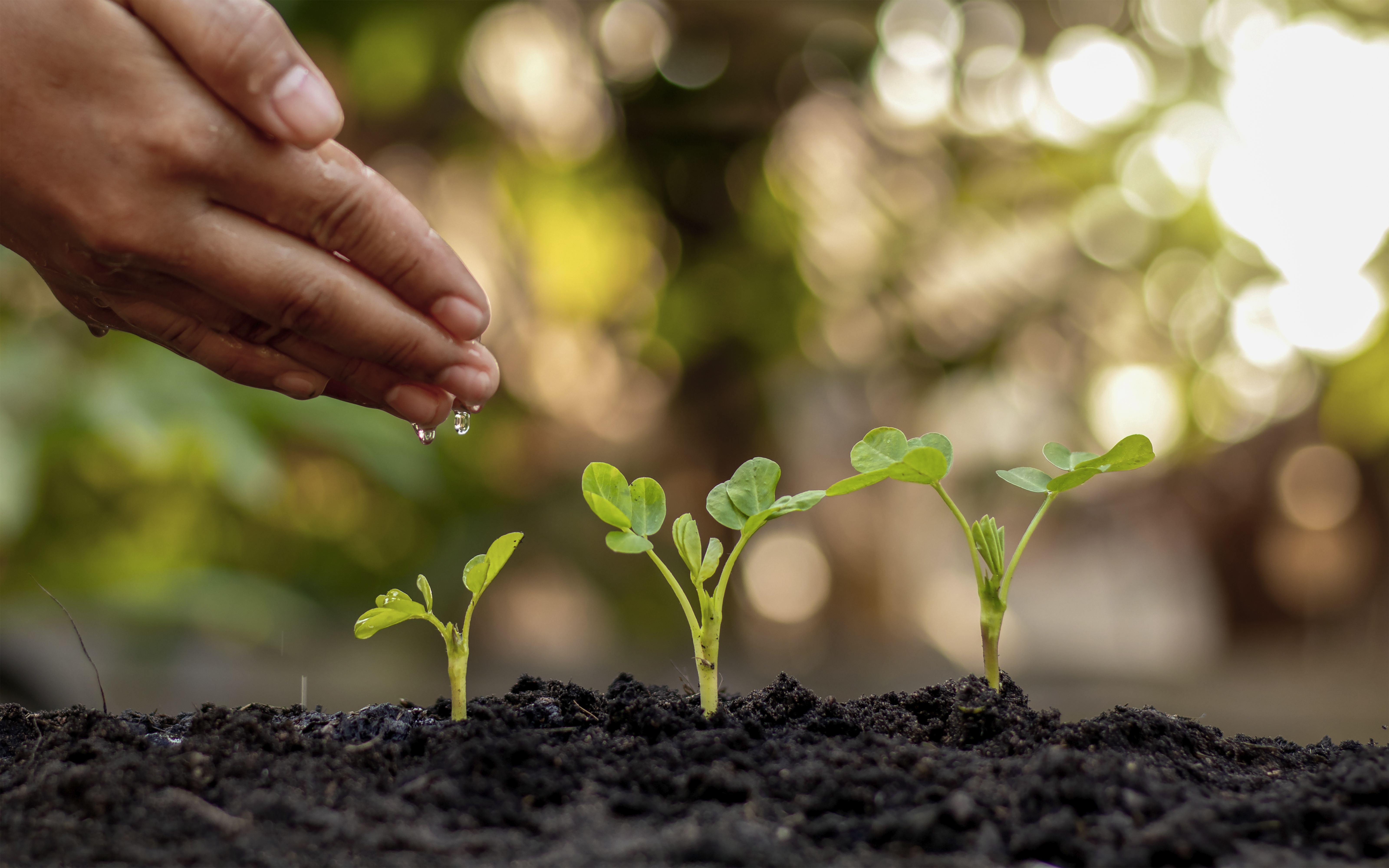 Use of Electronics in Seeders